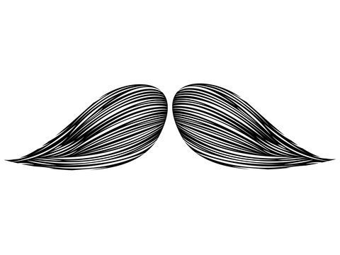 Isolated detailed mustache image. Vector illustration design