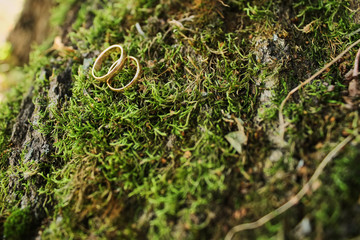 Macro Photograph of Wedding and Engagement Rings sitting on top of Moss