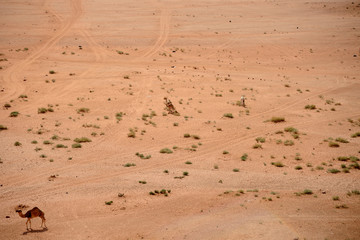 Red mountains of the canyon of Wadi Rum desert in Jordan. Wadi Rum also known as The Valley of the Moon is a valley cut into the sandstone and granite rock in southern Jordan to the east of Aqaba