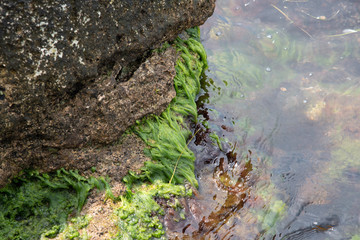 Stones in the sea