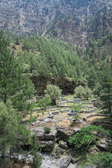 Samaria Gorge landscape at Crete, Greece. olive tree plantation of old village Samaria.