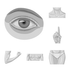 Isolated object of human and part sign. Collection of human and woman vector icon for stock.
