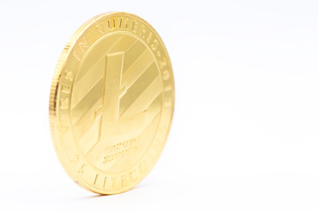   the coin of  litecoin