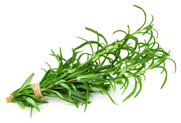green fresh rosemary isolated on white background