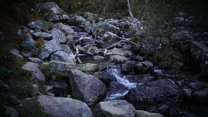 brook