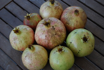 Circle of Pomegranates