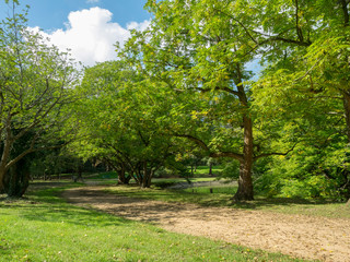 Ville de Vichy dans l'Allier. Parc du centre omnisports Pierre-Coulon sur la rive gauche de...