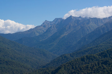 Outlines of mountains covered with forests