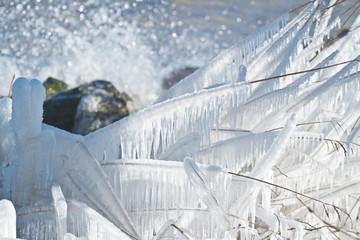 Ijsselmeer Winter