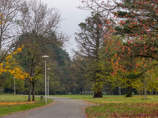 Ville de Vichy dans l'Allier. Parc du centre omnisports Pierre-Coulon sur la rive gauche de l'Allier entre le pont de l'Europe et la pont de Bellerive.