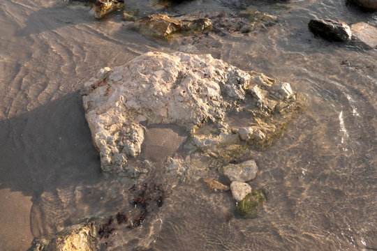 Sea shore with sand and stones and rocks in the water at sunset, close-up