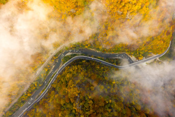 Foggy mountain road in the forest aerial view