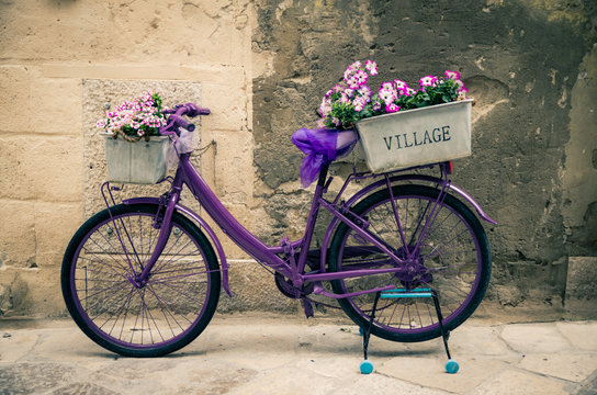 Vintage violet bike bicycle with box of flowers, Italy