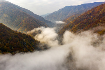 Foggy morning in Jiului Canyon Transylvania Romania