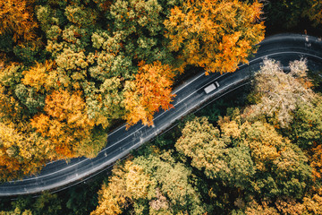 Truck passing on a road in fall season