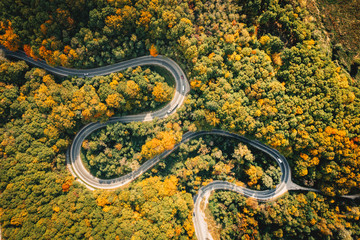 Road seen from above. Aerial view of an extreme winding curved road in the middle of the forest - 230670309