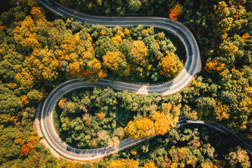 Extreme curved winding road in the forest as seen from above - 230670382