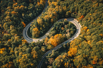 Car driving on a winding road trough a forest