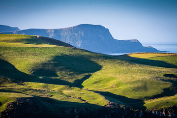 Beautiful Dunedin landscape on the Otago Peninsula in New Zealand