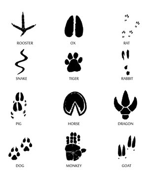 Chinese zodiac signs icons set on yellow round background.   Paw prints marks , footprints of rat, mouse, snake, dragon, pig, rooster, rabbit, horse, monkey, dog, tiger, ox, bull. Illustration
