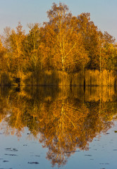 Beautiful view near Aholming-Bavaria-Germany