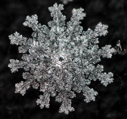 Macro. Snowflake on a black background