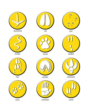 Chinese zodiac signs icons set on yellow round background.   Paw prints marks , footprints of rat, mouse, snake, dragon, pig, rooster, rabbit, horse, monkey, dog, tiger, ox, bull. Illustration
