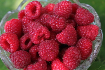 Fresh raspberry just from the bush