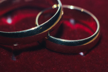 Two gold wedding rings close up