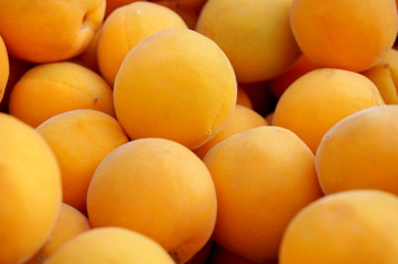 Apricots Yellow round ripe berries. Natural natural product.