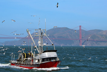 Fischkutter San Francisco Bay