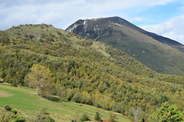 montagna 