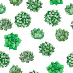 Seamless pattern with fresh green cactus plants on white background. Hand drawn watercolor illustration.