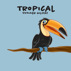 Tucan illustration summer © mollicart