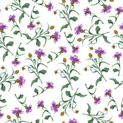 Seamless pattern with lilac and brown summer flowers on white background. Hand drawn watercolor illustration.