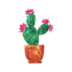 Doodle cactus with pink flower in brown pot isolated on white background. Hand drawn watercolor illustration.