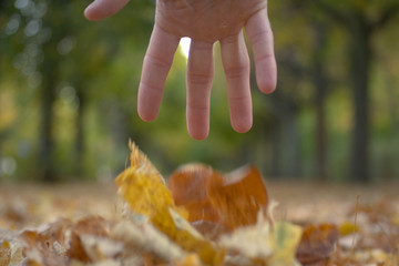 Blätter fallen aus der Hand im herbst