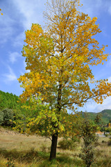 Fototapeta premium Natural landscape located between the municipalities of Salobre and Riópar, Albacete, Spain.