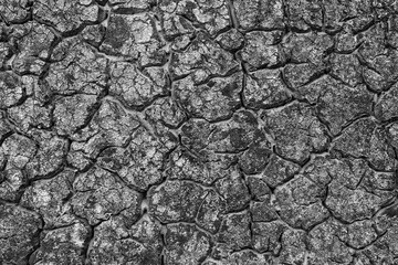 Teer verwittert Schwaz und weiss