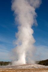 old faithful geyser in yellowstone national park