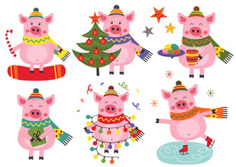 set of isolated christmas cheerful pigs - vector illustration, eps