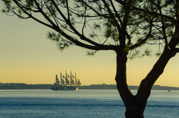 Fototapeta na wymiar Seegelschiff am Meer bei Sonnenuntergang