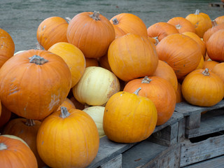 Yellow pump in the market