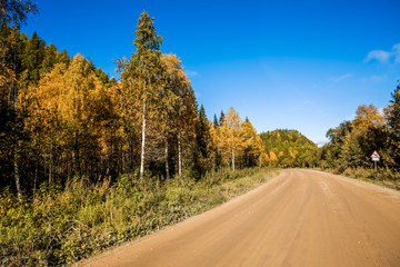 Pinega. Golden autumn in the Russian North.
