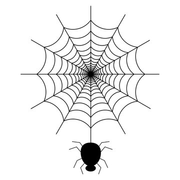Black spider on the spider web icon helloween vector image
