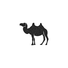 Camel icon silhouette design. Wild animal symbol and element isolated on white background. Vintage hand drawn animal pictogram with distressed effect. Stock vector illustration