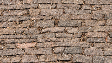 Fototapeta premium Road plaster texture