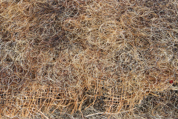  Horse hair for furniture treated with latex