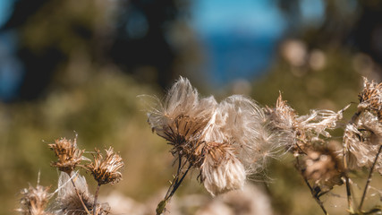Beautiful alpine view at the famous Gosausee-Salzburg-Austria
