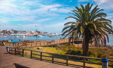 Punta Bay